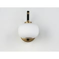 thumbnail image 3 of 10 Inch 4W 1 Led Wall Sconce Et2 Lighting E25062-92Bkgld, 3 of 5