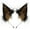 Black Brown, variant on New Personalized Adjustable Headband Halloween Christmas Party Role Play Fox Ears Plush Hair Accessory
