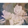 thumbnail image 2 of Great Art Now Blush Gardenia Beauty II by Sharon Chandler, Canvas Wall Art, 20W x 16H, 2 of 2