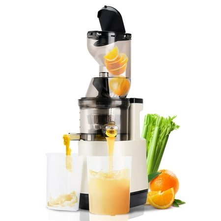 

BLUELK Slow Masticating Juicer Cold Press Juicer Machines 500W Professional Slow Juicer with 3.15 inch (80mm) Large Feed Chute for Fruits and Vegetables