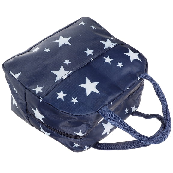 CHICHUMID Insulated Picnic Bag For Adults Dark Fabric Large Capacity 1Set