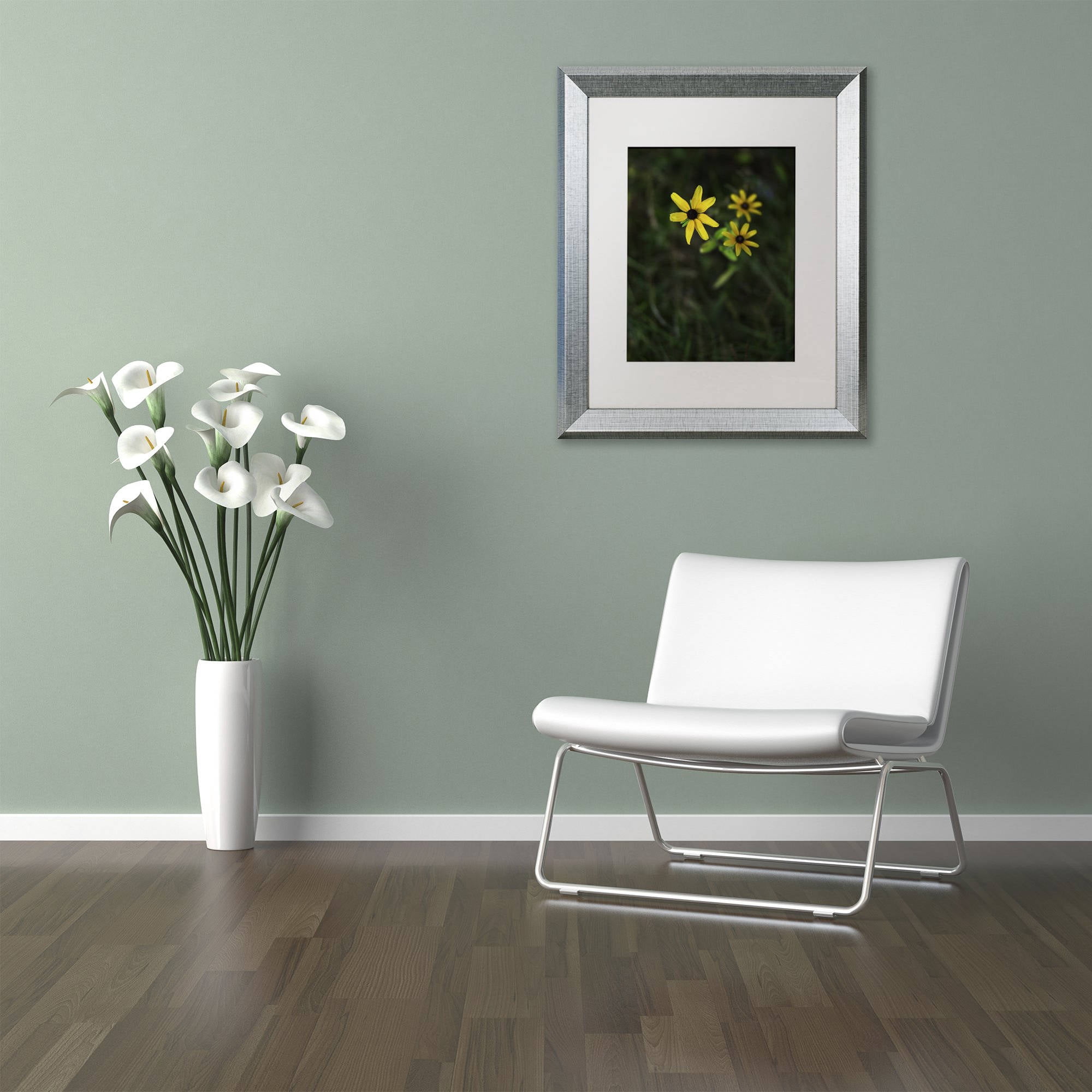 Trademark Fine Art "Brown-Eyed Susan" Canvas Art by Kurt Shaffer, White Matte, Silver Frame