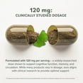 thumbnail image 5 of Prominent Nutrition Ginkgo Biloba - Antioxidant Supplement for Memory & Focus Support - Healthy Blood Circulation - Non-GMO, Vegan & Gluten-Free - 120 Capsules (120 Servings), 5 of 9