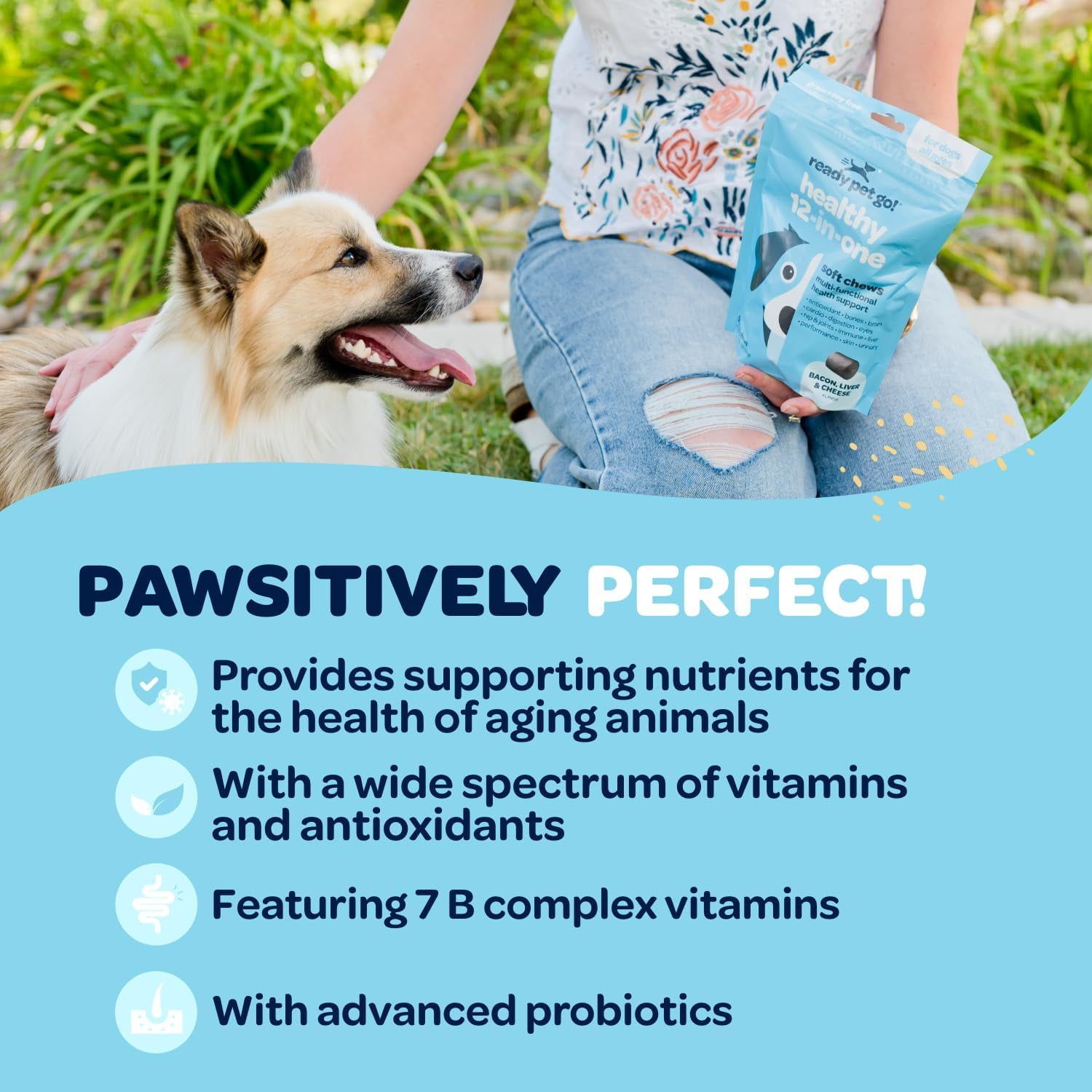 Ready Pet Go! Healthy Dog Chews 12-In-1 Complete Multivitamin for Dogs, Bacon, Liver & Cheese, 90 Pc