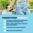 thumbnail image 4 of Ready Pet Go! Healthy Dog Chews 12-In-1 Complete Multivitamin for Dogs, Bacon, Liver & Cheese, 90 Pc, 4 of 10