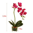 thumbnail image 3 of Glass Vase Artificial Orchid Bonsai - Phalaenopsis Flower Pot Arrangement For Home Table Centerpieces And Room Decor, 3 of 5