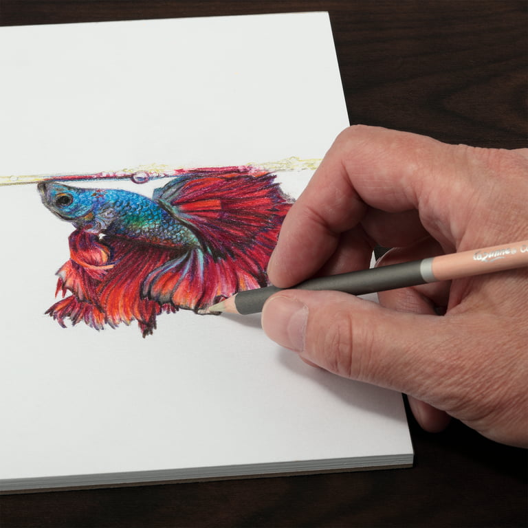 Master 150 Colored Pencil Mega Set, Soft Core Vibrant Colors Pro Premium  Artist Quality - Blending, Shading, Layering