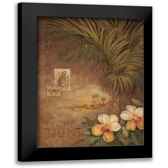 Gladding, Pamela 11x14 Black Modern Framed Museum Art Print Titled - West Indies Sunset II