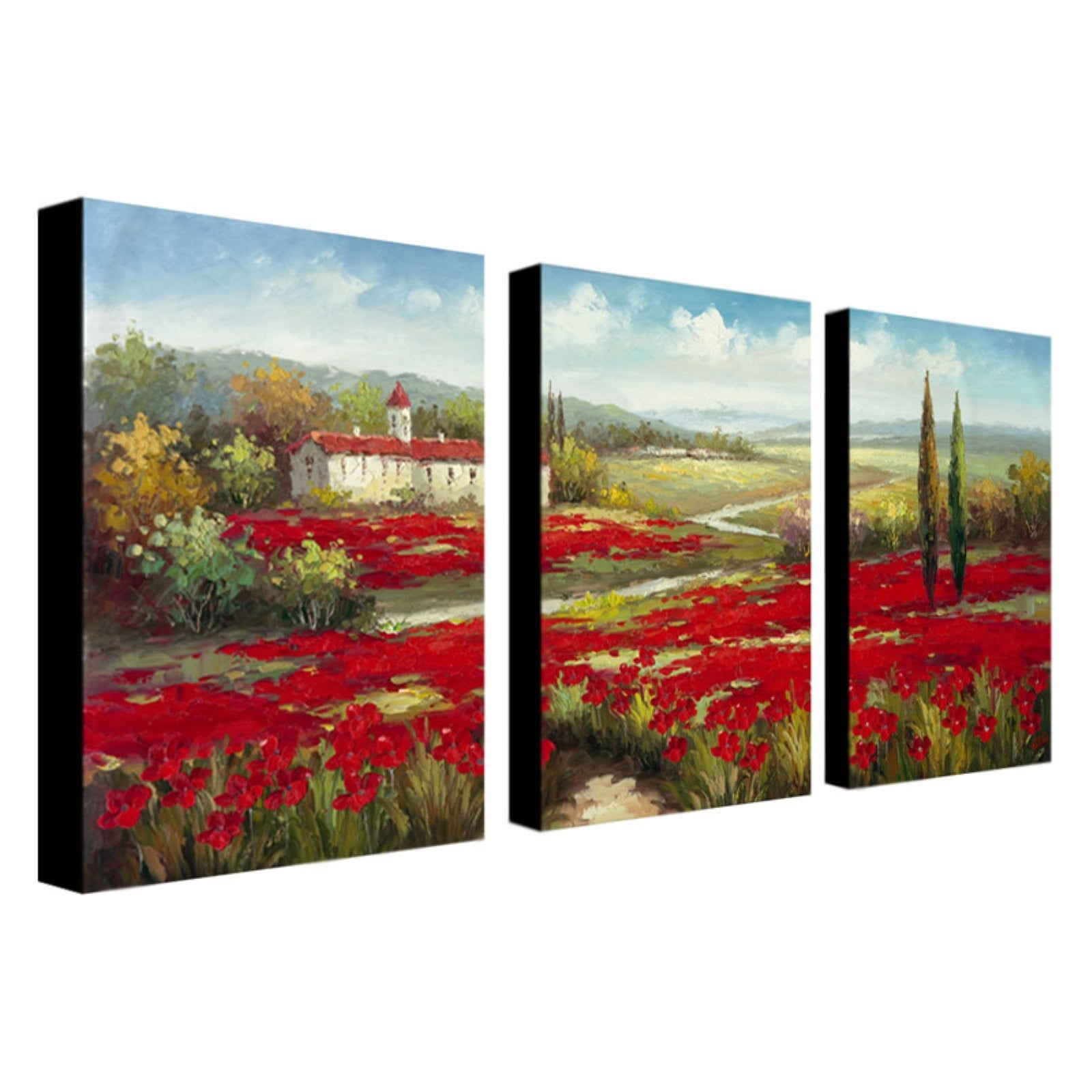 Trademark Fine Art "Field of Poppies" Canvas Art