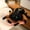 Brown 18cm, variant on Plush Keychain  18cm Simulation Spider Animal Keychain Stress Relief Birthday Gift