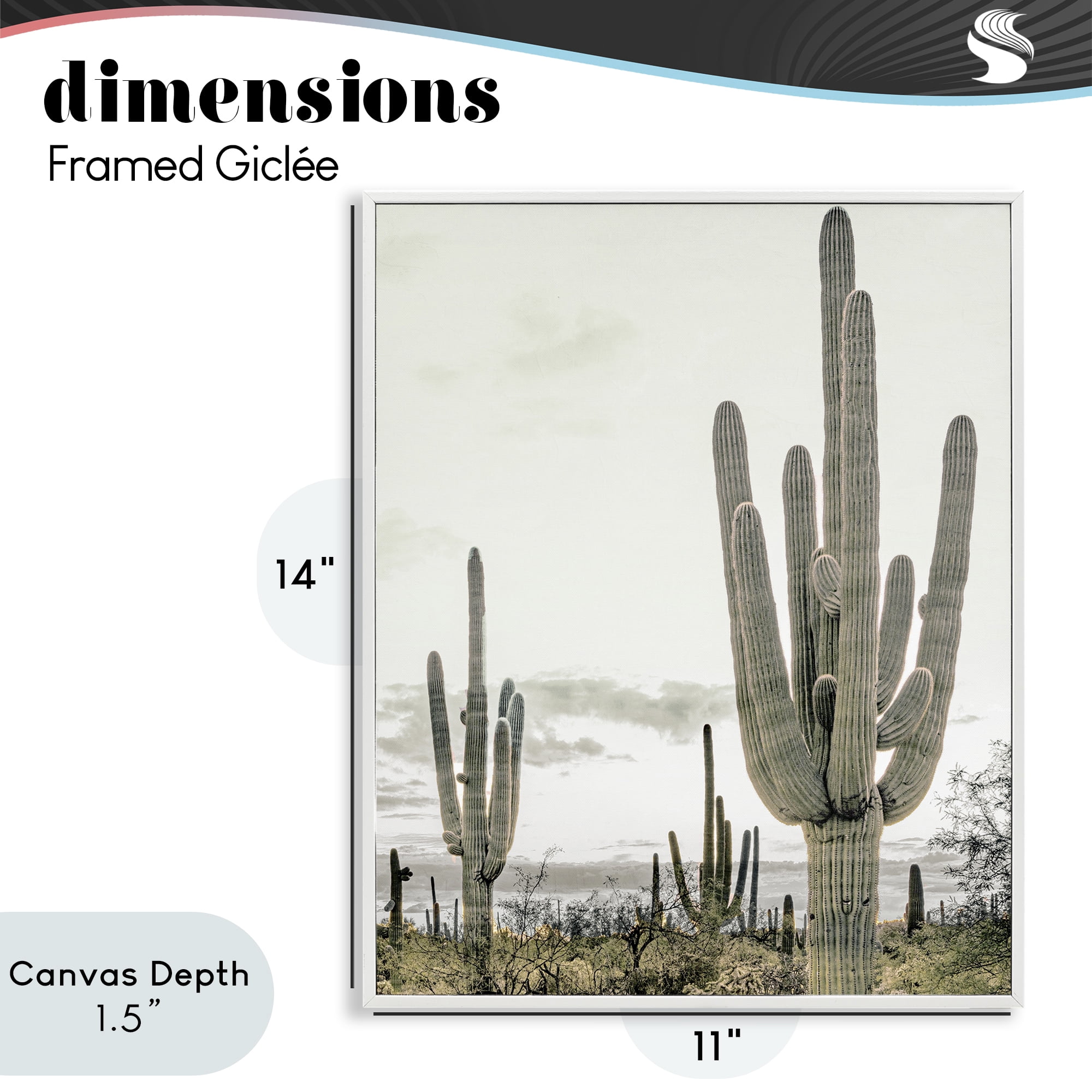 Stupell Industries Subdued Desert Cacti White Framed Giclee Art, design by Kim Allen