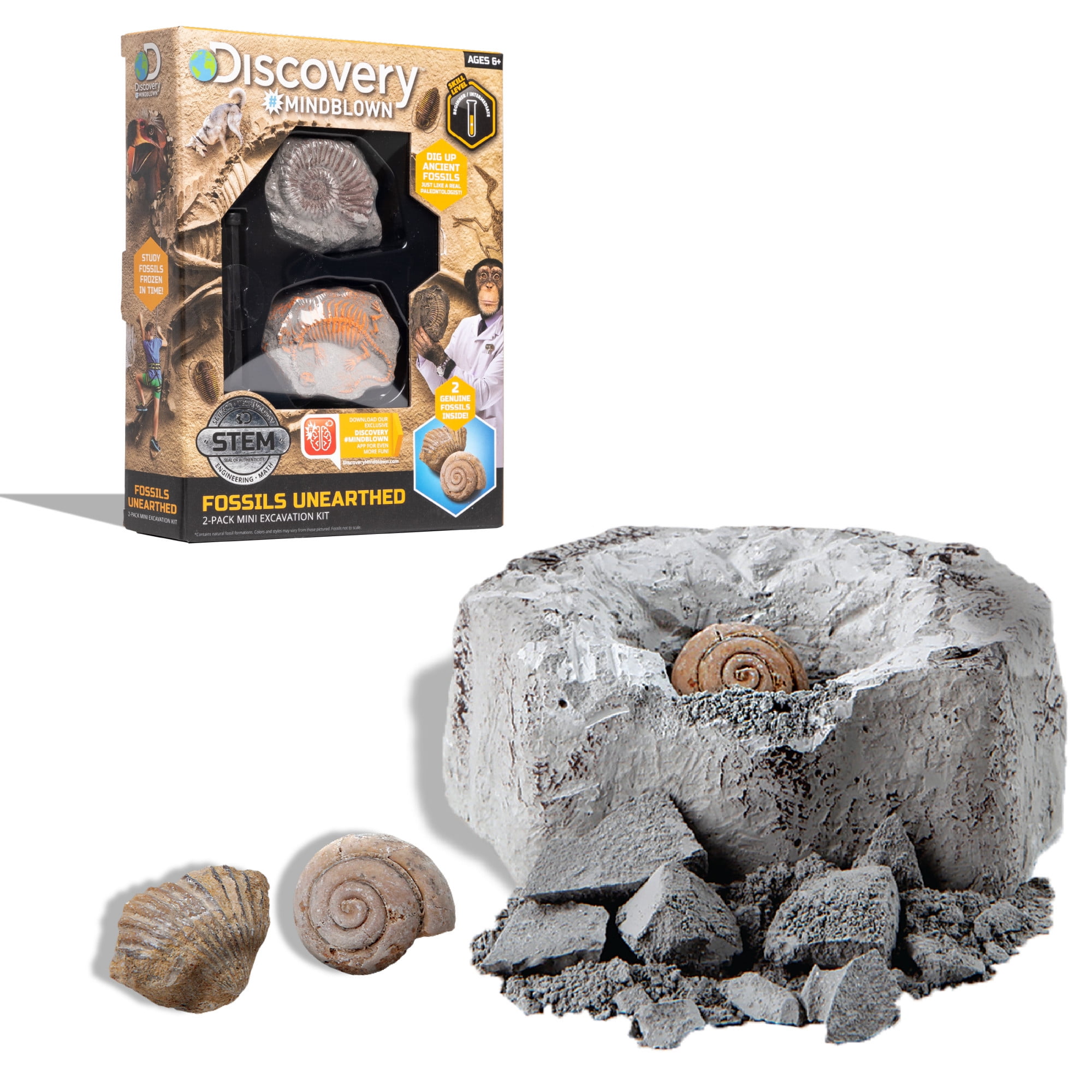 Fossil Adventures 10-in-1 Treasure Excavation Kit for sale online 