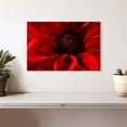thumbnail image 2 of Elephant Stock Red Flower Bloom Wall Art - Horizontal Canvas Wall Art - Living Room Wall Decor - Floral And Botanical Canvas - Red And Black Decor - 12" x 8", 2 of 8