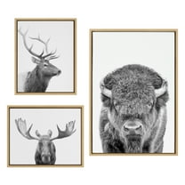 Kate and Laurel Sylvie Sylvie Bison Portrait Black and White, Stag Profile, and Moose Framed Canvas Wall Art Set by Amy Peterson Art Studio, 3 Piece Set Natural, Black and White Animal Art for Wall