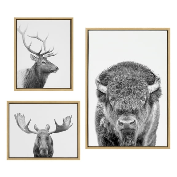 Kate and Laurel Sylvie Sylvie Bison Portrait Black and White, Stag Profile, and Moose Framed Canvas Wall Art Set by Amy Peterson Art Studio, 3 Piece Set Natural, Black and White Animal Art for Wall