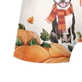 thumbnail image 5 of Happy Thanksgiving Boston Terrier with Turkey Pumpkins Autumn Vibes All Over Print Boxer Briefs Underwear for Men Dad Gentleman Dog Lover Gifts - 12018, 5 of 6