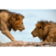 thumbnail image 3 of Bibi, Tamir 18x13 Black Modern Framed Museum Art Print Titled - Face to Face, 3 of 5