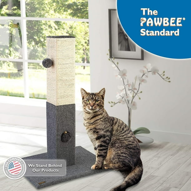 Cat post best sale walmart