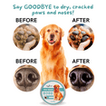 thumbnail image 3 of HYGIIENE NATURAL PET PAW BALM | All Season Paw Protection for Dogs, Cats, Other Pets | Lick Safe | Relieves Dryness & Itching | Moisturizes | Soothes | Restores | Natural Ingredients | 2 oz, 3 of 8