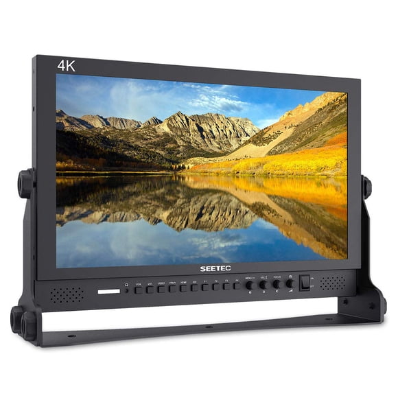 Monitor de Escritorio SEETEC P173-9HSD 17,3'' 1920x1080 3G-SDI HDMI