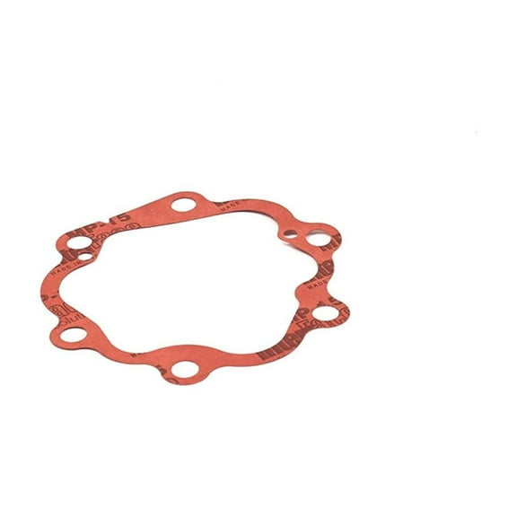 Briggs and Stratton A2069GS Head Gasket