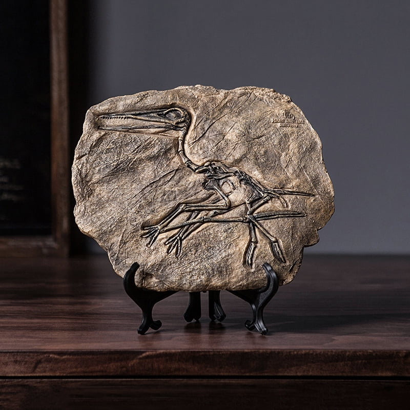Dinosaur Fossils Ornaments Resin Realistic Velociraptor Model Crafts ...