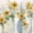 Sunflower Spectacular, variant on Elephant Stock Bicycle Inspirations Iii Wall Art - Horizontal Canvas Wall Art - Living Room Wall Decor - Transportation Canvas - Beige And Gray Decor By Jean Plout - 12" x 8"
