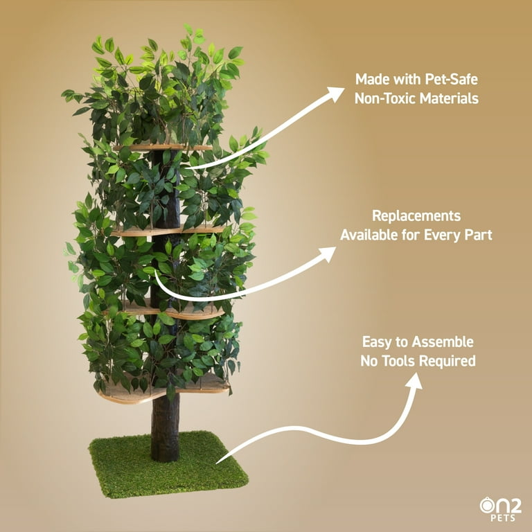 Non toxic cat condos 2025