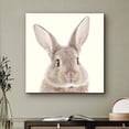 thumbnail image 2 of PixonSign Canvas Print Wall Art Brown Bunny Rabbit Portrait Animals Wildlife Photography Realism Rustic Colorful Multicolor Cool for Living Room, Bedroom, Office - 16"x16", 2 of 5