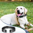thumbnail image 4 of Reflective Shock Collar Replacement Strap, Dog GPS Training Bark Receiver Collars, Heavy Duty Replacement Collar for Shock Training, E Collars Straps for Small Medium Large Dogs (2.5 cm Wide), 4 of 7