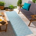 thumbnail image 5 of Hauteloom Bellamack Living Room, Bedroom Patio Outdoor Area Rug - Traditional - Aqua - 6'4" x 9', 5 of 9