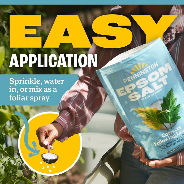 (2 pack) Pennington Epsom Salt Plant Food Fertilizer, 7 lb.