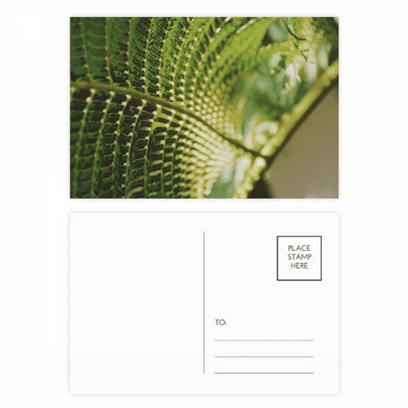 photography picture nature postcard set birthday mailing thanks greeting card