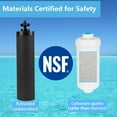 thumbnail image 2 of Gravity Water Filter Replacement,for Berkey® Black Carbon (BB9-2®) Purification Elements and Fluoride Filters K5366 (PF-2®) Combo Pack,Compatible with Berkey® Filtration System,Pack of 4, 2 of 6