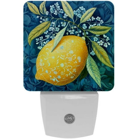 

2 Pieces Night Light Lemon Blue Background Night Lights Plug into Wall for Boys Girls Bedroom Decorative Half Round Nightlight Led Lamp 0.5W Sleep Friendly
