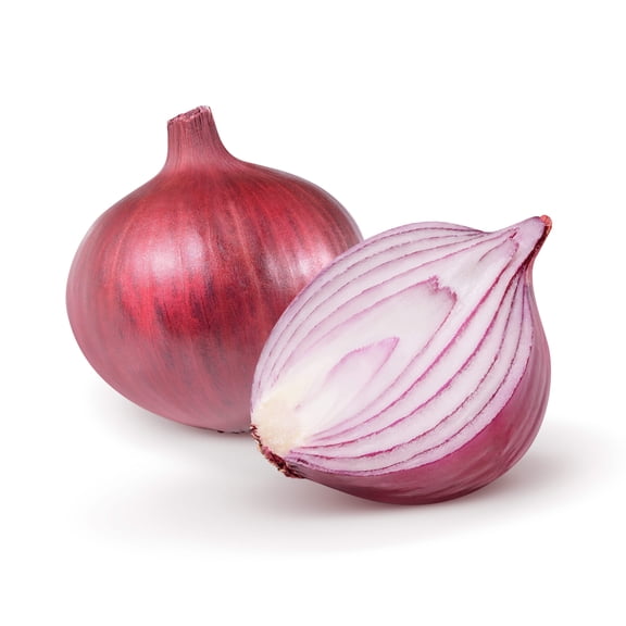 250 *Seeds RED BURGUNDY ONION Allium Cepa Vegetable Seeds