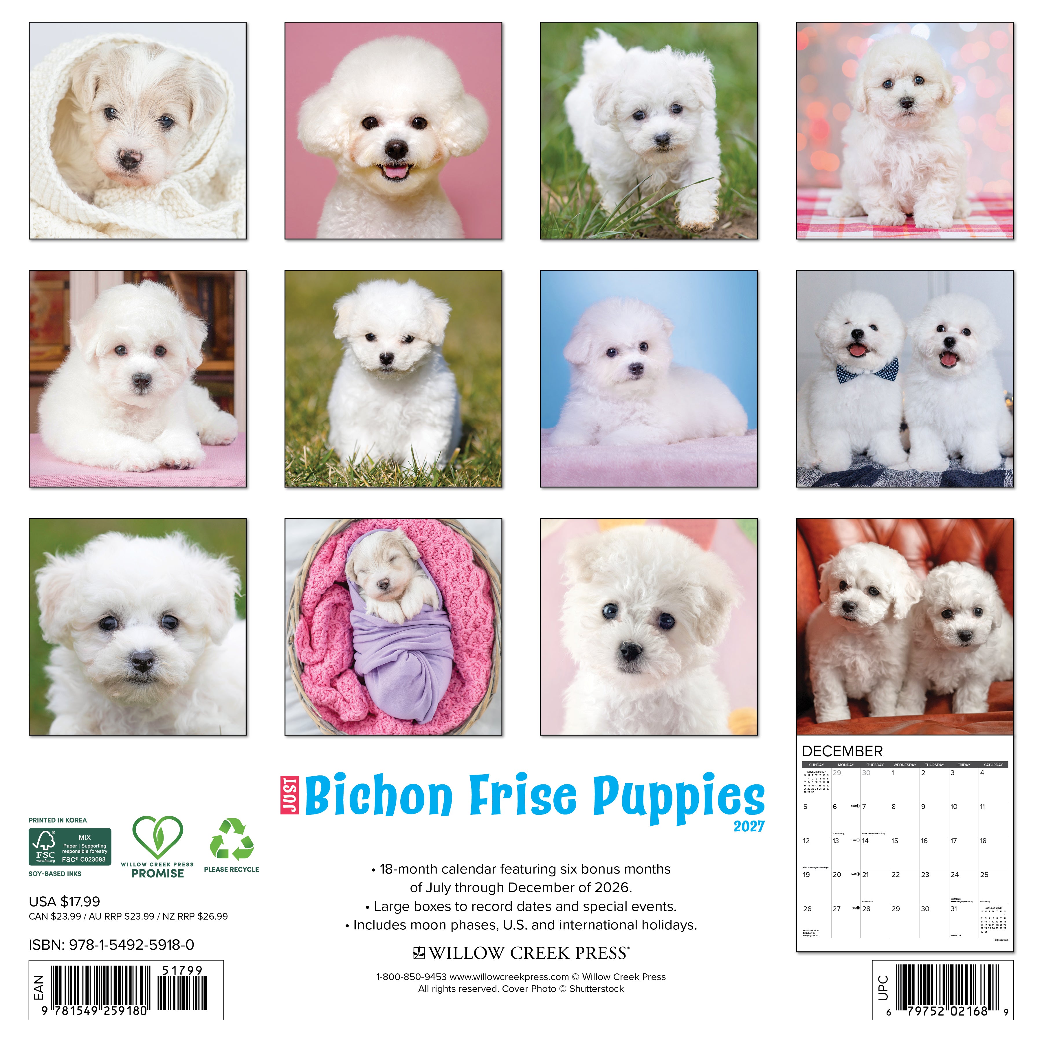 Willow Creek Press, Bichon Frise Puppies 2027 Wall Calendar
