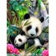 thumbnail image 1 of Pintura de diamante Panda (30*40 cm), pintura de diamantes de imitación 5D, Kit de punto de cruz bordado artesanal, decoración de diamantes de pasta DIY, 1 of 5