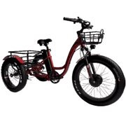 FT-1900X Electric Fat Tire Tricycle - Trail Conqueror