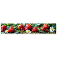 thumbnail image 3 of Strawberry Daisy Themed Background Banner Party Decorations Backdrop for Summer Picnics Garden Parties Photography Props, 3 of 8