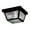 Black, variant on Kichler Outdoor Miscellaneous Outdoor Ceiling 2Lt