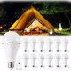 thumbnail image 1 of Bombilla LED de emergencia Lingwarm 15 W 1500 lm 6000 K E26/27, 1 of 7