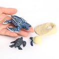 thumbnail image 4 of Colección de tortuga Yotijar Incluye réplicas de huevos larvas tortugas jóvenes y adultas s pintadas Juego de crecimiento de tortugas marinas, 4 of 8