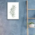 thumbnail image 3 of Epic Art 'Eucalyptus I' by Seven Trees Design, Acrylic Glass Wall Art, 16"x24", 3 of 3