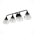 thumbnail image 5 of Hunter - Cypress Grove 4-light Natural Black Iron, Medium Size Vanity Light, Dimmable, Transitional Style, for Bedrooms, Kitchens, Dining, Living Rooms - 19259, 5 of 8