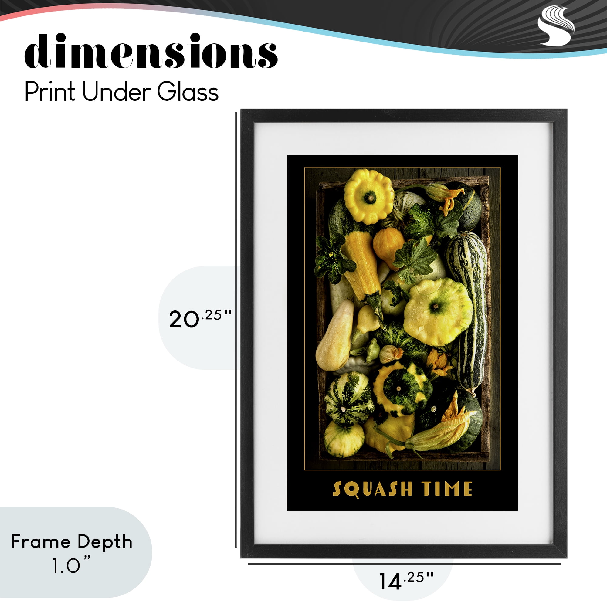 Stupell Industries Squash Time Vibrant Vegetables Black Framed Print Under Glass, design by Carl Kravats