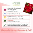 thumbnail image 5 of Encore Azalea Autumn Bonfire (1 Gallon) Red Flowering Shrub - Full Sun Live Outdoor Plant, 5 of 13