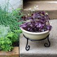 thumbnail image 2 of Achla GBS-22 Short Stand Planter in Black, 2 of 2