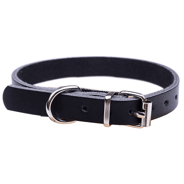 Correa de repuesto para collar de perro impermeable para mascotas para collar de choque y cerca Collar de perro inodoro fácil de limpiar MFZFUKR CPB-US-YY100-6
