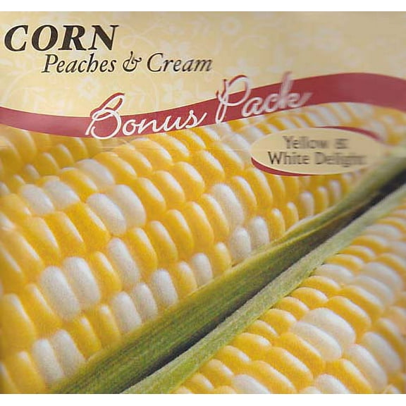 Peaches & Cream Corn Seeds - 50 Seeds